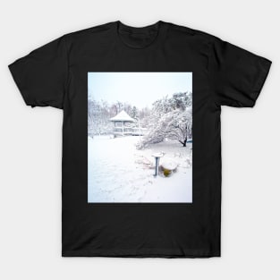 Winter wonderland T-Shirt